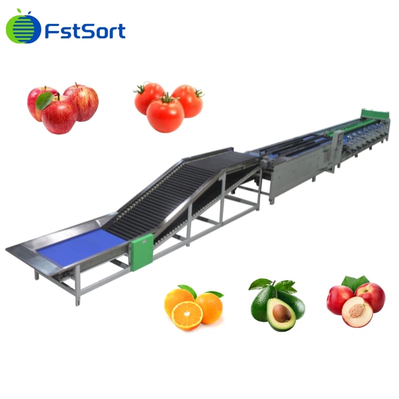 electronic weight sorting machine.jpg